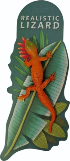 Animaux – lézard changeant de couleur