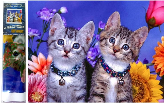 Peinture au diamant Deux chatons 30x40 cm