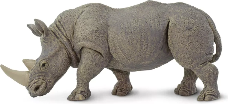 Rhinocéros blanc Safari Ltd.