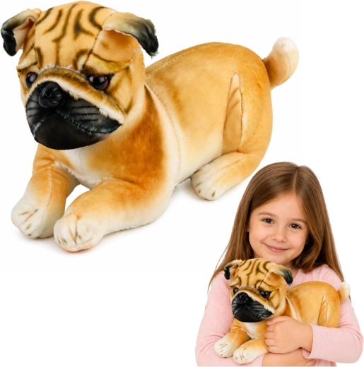 Carlin en peluche réaliste de 25 cm à câliner