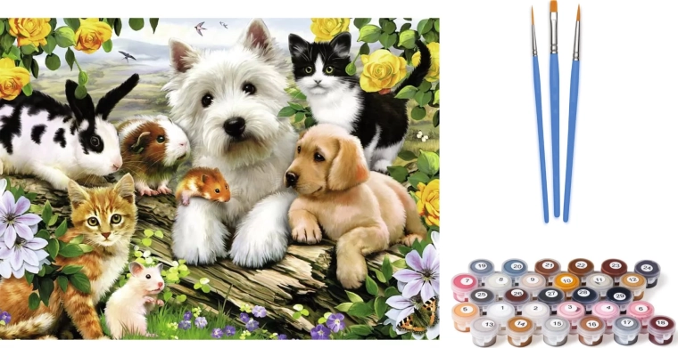 Peinture par numéros – Animaux domestiques sur toile 30 x 20 cm