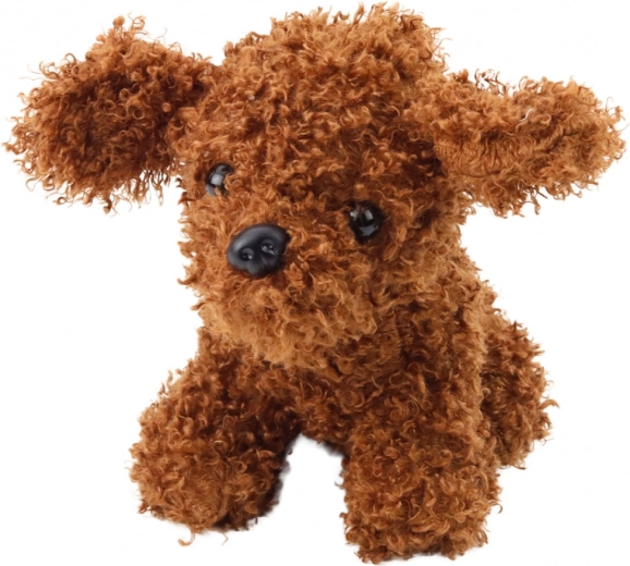 Ami en peluche caniche 20 cm marron