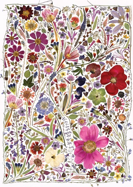 Puzzle Fleurs Pressées Printemps 1000 Pièces de Cobble Hill