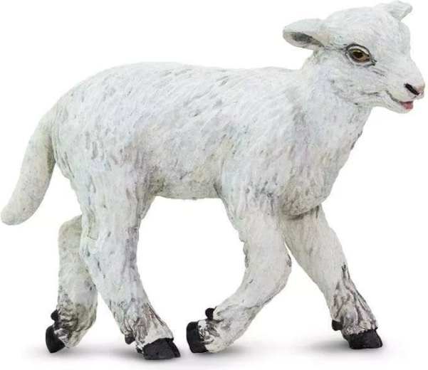 Safari Ltd. figurine de mouton domestique - 1 pièce