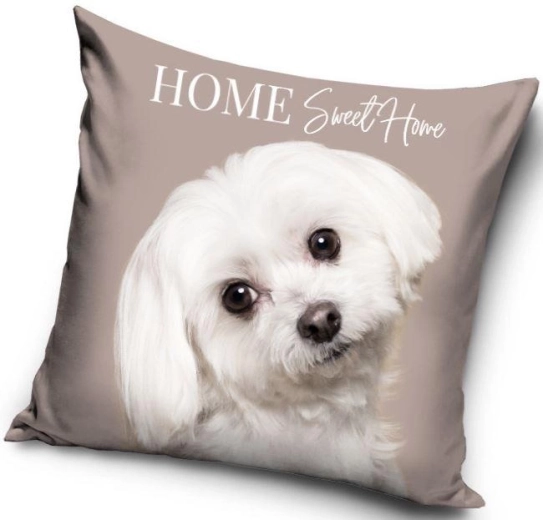 Housse de coussin petit chien 40 × 40 cm Carbotex