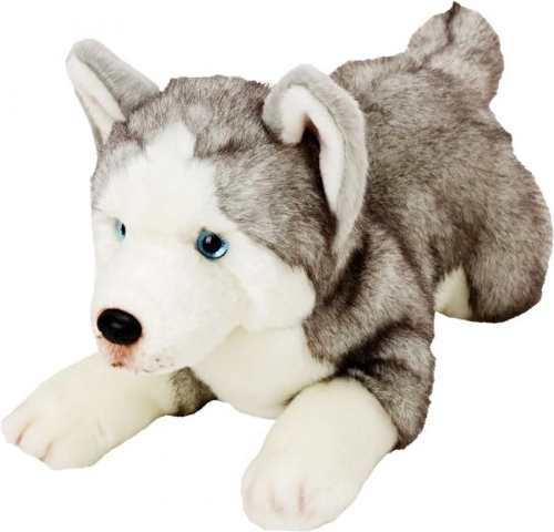 Chien en peluche Husky