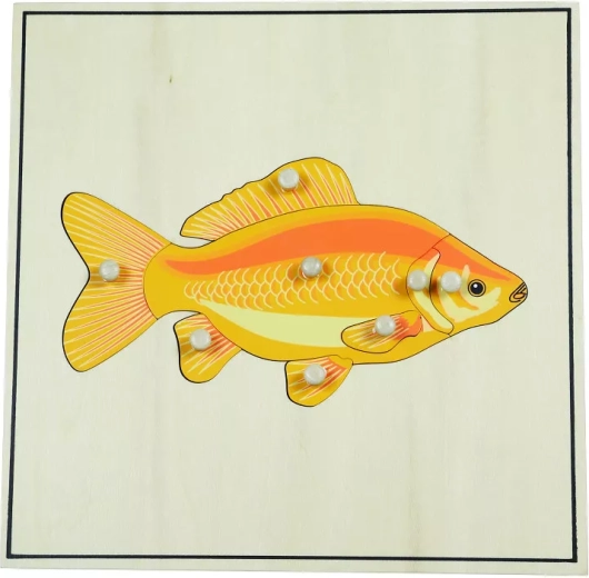 Puzzle avec squelette – poisson