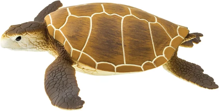 Safari Ltd figurine tortue caouanne