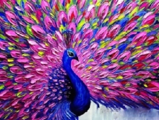 Norimpex Peinture par numéros paon à queue rose 40 × 50 cm
