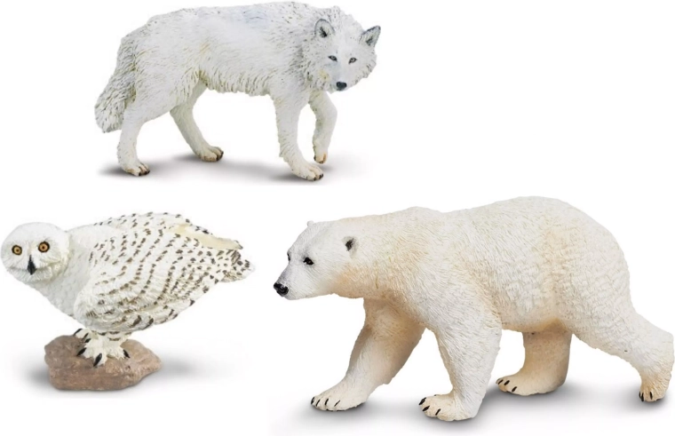 Safari Ltd. animaux du Nord (ensemble de 3 figurines)