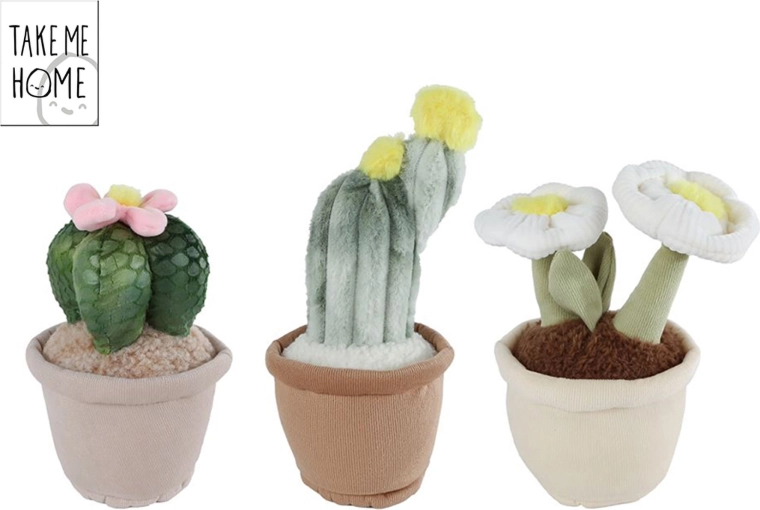 Plante d’intérieur en peluche Take Me Home