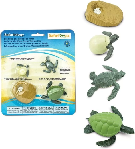 Safari Ltd. cycle de vie de la tortue marine