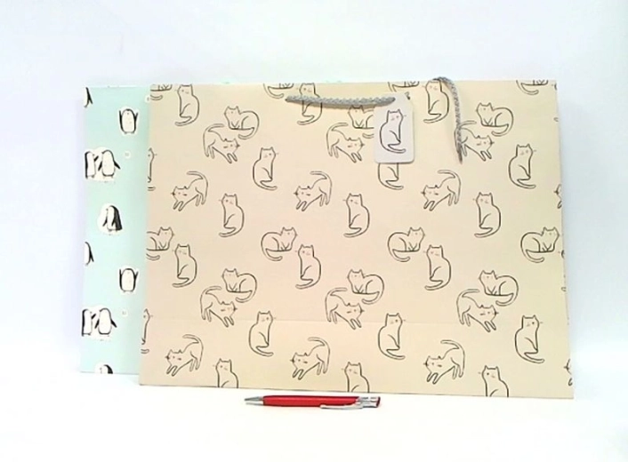 Sac cadeau JYWK 190 taille L