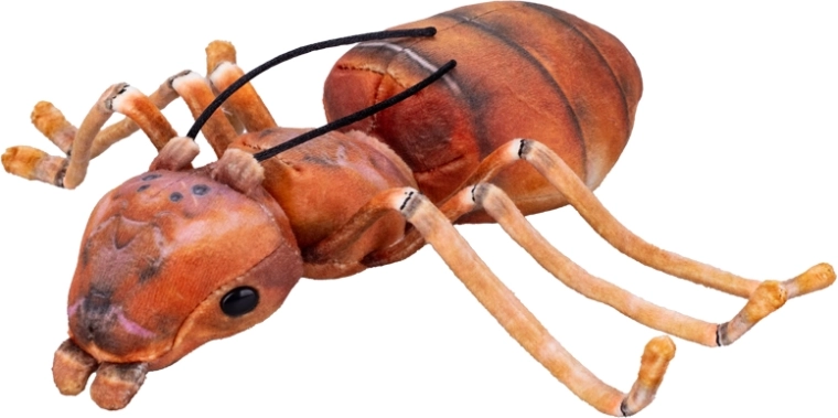 Fourmi en peluche marron 20 cm