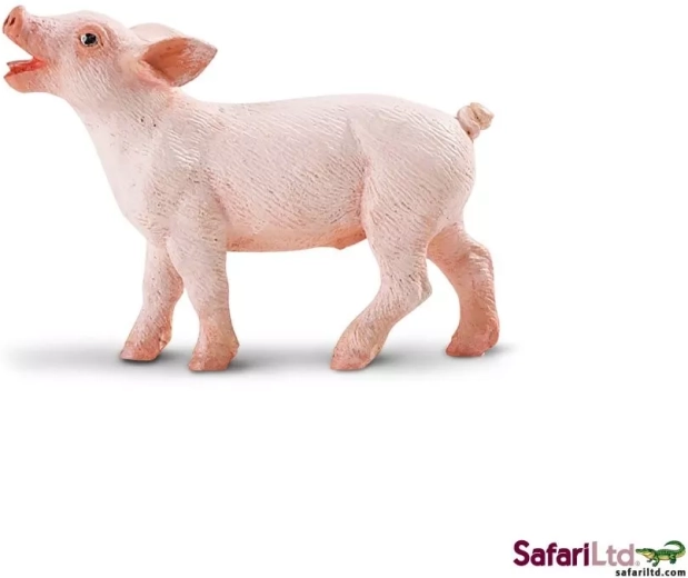 Safari Ltd. porcelet - 1 pièce