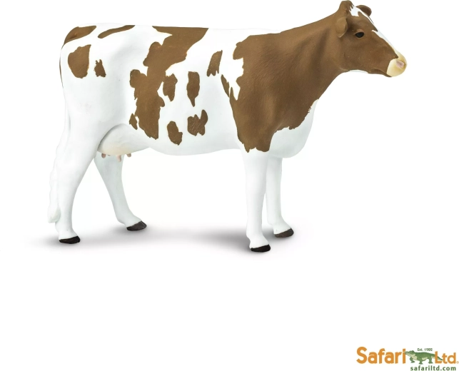 Safari Ltd. bétail Ayrshire