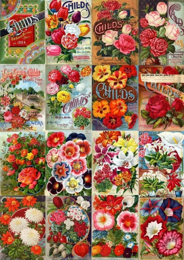 Puzzle Enjoy catalogue vintage de graines de fleurs 1000 pièces