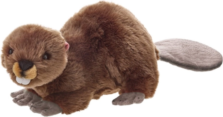 Castor en peluche 50 cm