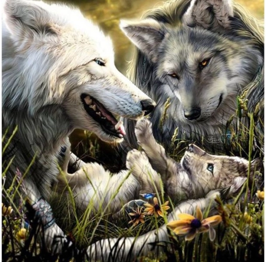 Mosaïque diamant (diamond painting) famille de loups 30 × 30 cm