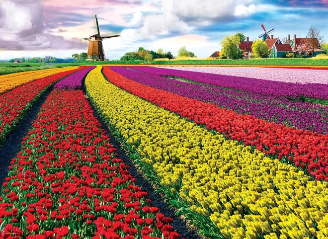 EUROGRAPHICS puzzle champ de tulipes – 1000 pièces