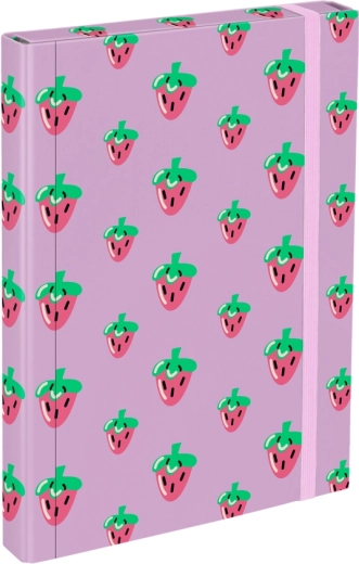 Chemises pour cahiers scolaires A4 Lavender Baagl