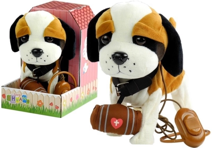 Saint-Bernard interactif en laisse avec niche