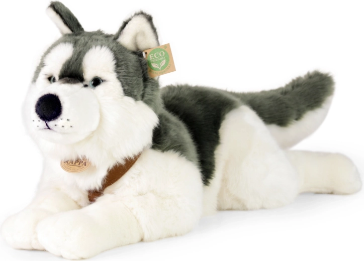 Chien Husky en peluche 60 cm ÉCOLOGIQUE