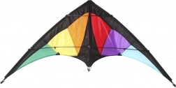 Cerf-volant sportif Dragon 120 × 50 cm