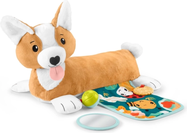 Coussin ventre pour bébés Fisher-Price