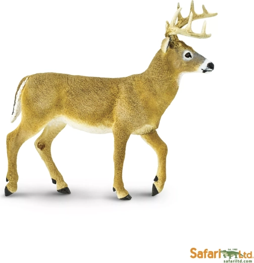 Cerf de Virginie (queue blanche) Safari Ltd.
