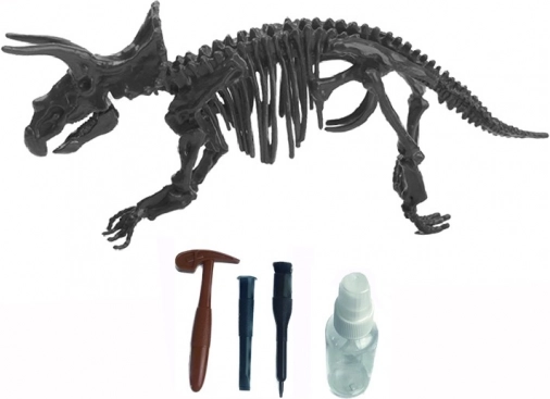 Set archéologique Triceratops pour enfants