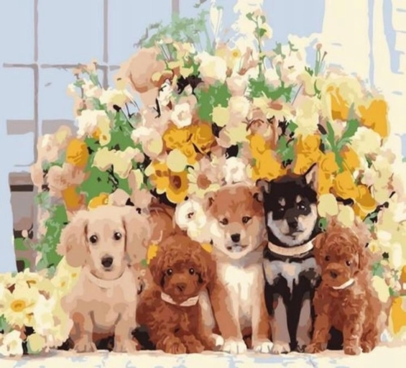 Norimpex Peinture par numéros Chiens 40 × 50 cm