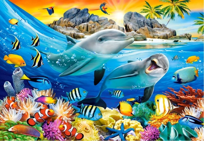 Puzzle 1000 pièces dauphins sous les tropiques
