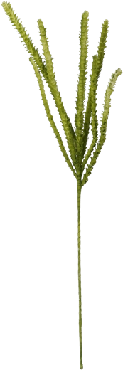Herbe décorative 107 cm verte