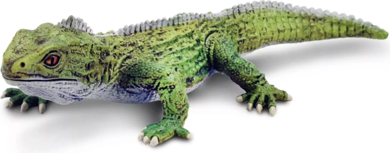 Safari Ltd. figurine de tuatara