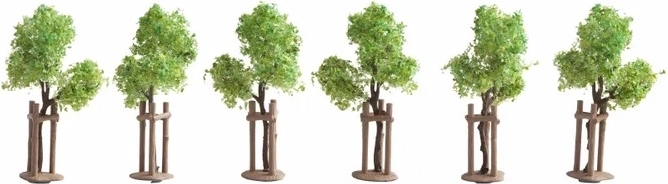 Jeunes plants d’arbres avec tuteurs (6 pcs)