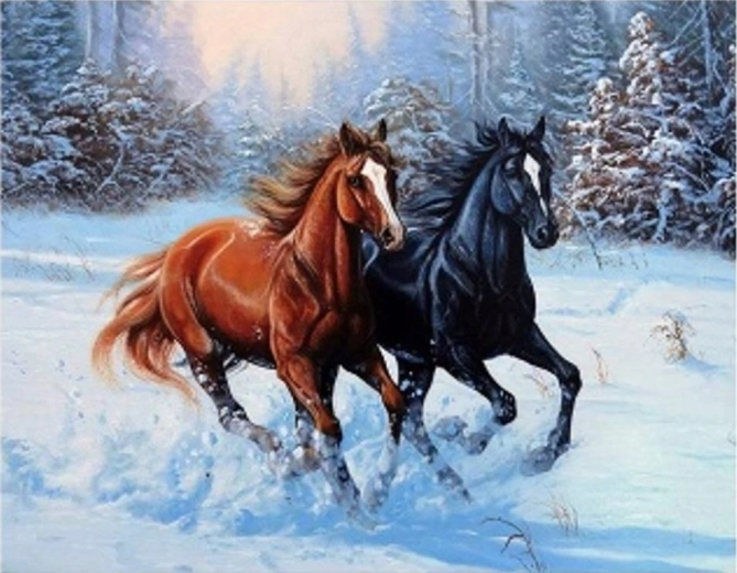 Peinture par numéros chevaux au galop dans la neige 40 × 50 cm