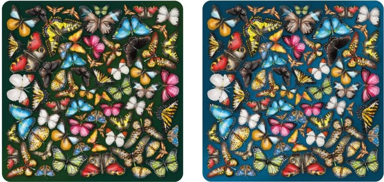 Puzzle en bois recto-verso Curiosi Double : papillons 165 pièces