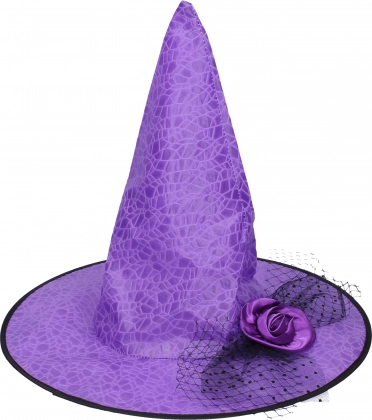 Set de carnaval chapeau de sorcière violet