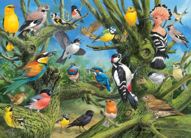 EUROGRAPHICS puzzle Oiseaux au jardin – 1000 pièces