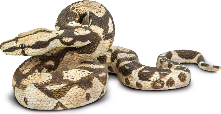 Boa constricteur Safari Ltd. - 1 pièce
