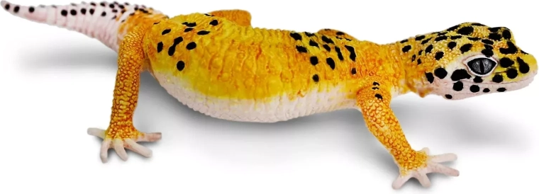 Safari Ltd. figurine de gecko léopard