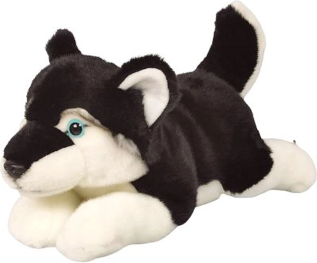 Husky en peluche 34 cm