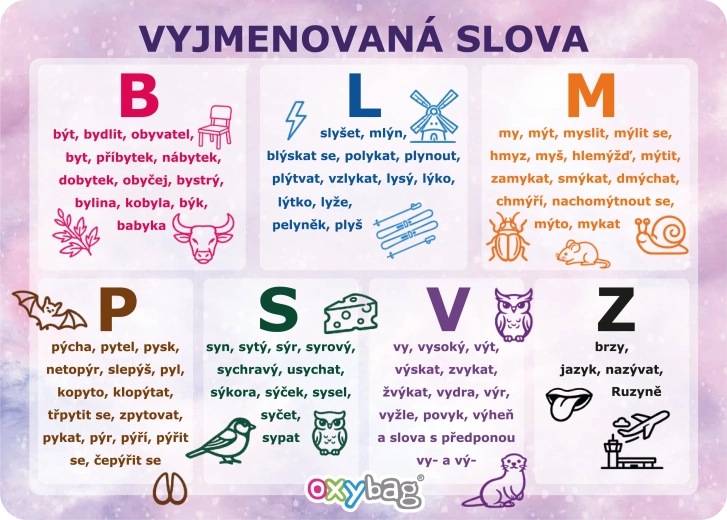 Fiche éducative A4 – mots à mémoriser (vyjmenovaná slova) – motif Papillon - 1 pièce