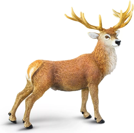 Safari Ltd. figurine de cerf élaphe - 1 pièce