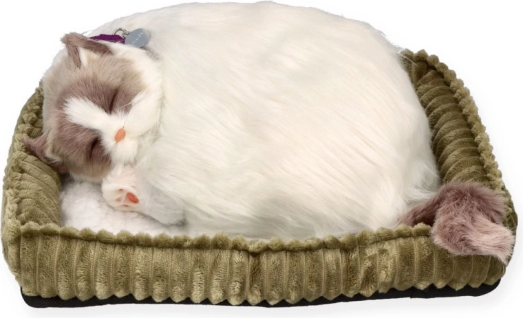 Chaton ragdoll respirant Perfect Petzz