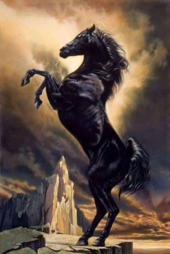 Peinture diamant Norimpex Cheval cabré 30 × 40 cm