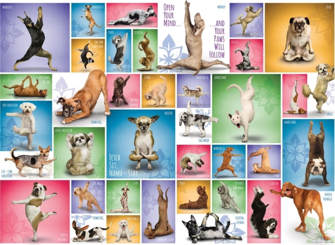 Puzzle EUROGRAPHICS Yoga canine 1000 pièces