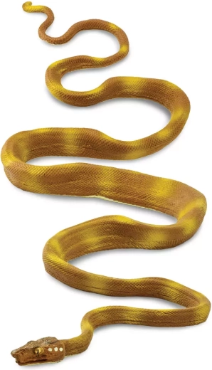 Psohlavec de l’Orénoque (Safari Ltd.)