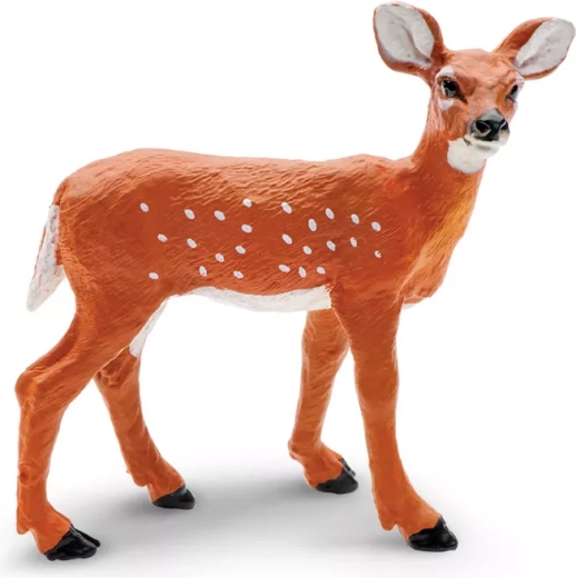 Faon de cerf de Virginie Safari Ltd.
